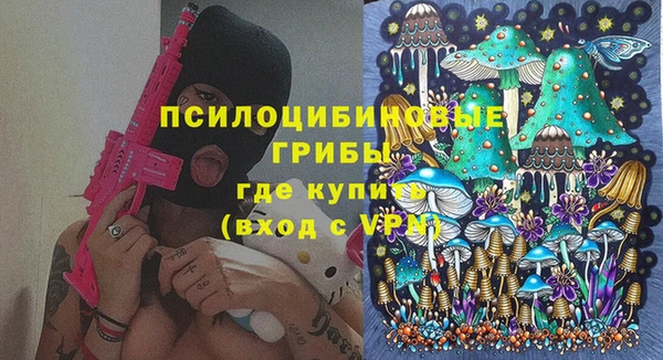 хмурый Алзамай