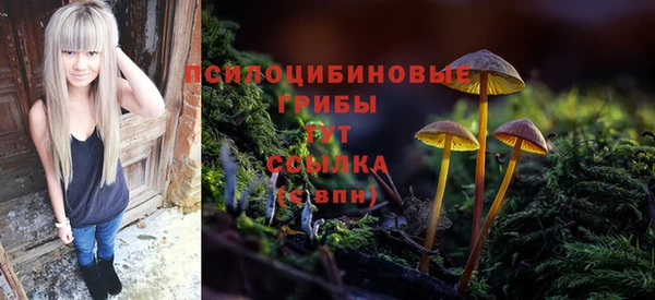 МДПВ Алексеевка