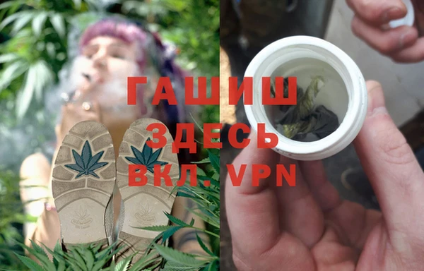 прущие грибы Алексин