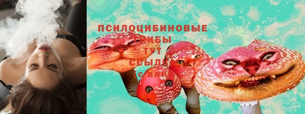 хмурый Алзамай
