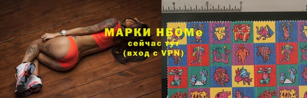 хмурый Алзамай